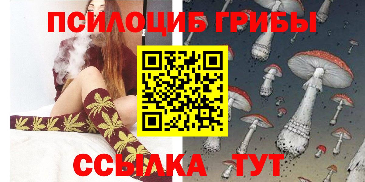 Галлюциногенные грибы GOLDEN TEACHER  Вход с VPN  Новодвинск 